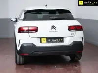 Usado Citroën C4 Cactus Shine 99 CV (72 kW) 2020 Blanco Utilitario