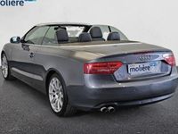 usado Audi A5 2.0 TDI DPF 125 kW (170 CV)