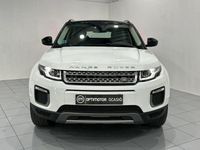 Usado Land Rover Range Rover evoque HSE 180 CV (132 kW) 2016 Blanco SUV
