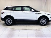 usado Land Rover Range Rover evoque 5p TD4 150 CV 4x4 Pure Aut.