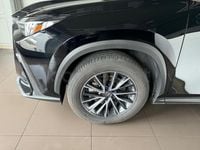 Usado Lexus NX350h Executive Line 242 CV (177 kW) 2025 Negro SUV