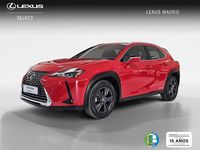 Usado Lexus UX Business Edition 183 CV (134 kW) 2022 Rojo SUV