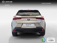 Usado Lexus UX Business Edition 184 CV (135 kW) 2019 Gris SUV