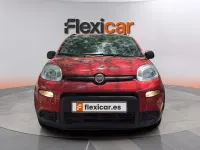 Usado Fiat Panda City Life 70 CV (51 kW) 2022 Rojo Utilitario