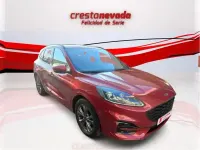 Usado Ford Kuga ST-Line 151 CV (111 kW) 2022 Rojo SUV