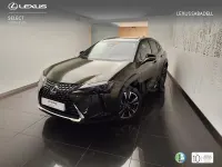 Nuevo Lexus UX 199 CV (146 kW) 2026 Verde SUV