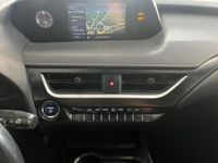 usado Lexus UX 2.0 250h Business Navigation Híbrido en Flexicar Palma de Mallorca 2