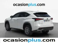 Usado Lexus NX300h 197 CV (144 kW) 2019 Blanco SUV