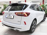Usado Ford Kuga ST-Line X 180 CV (132 kW) 2025 Blanco SUV