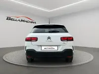 Usado Citroën C4 Cactus Shine 100 CV (73 kW) 2019 Blanco Utilitario