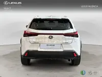 Usado Lexus UX 184 CV (135 kW) 2022 Blanco SUV