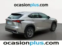 Usado Lexus NX300h Business Edition 197 CV (144 kW) 2017 Gris SUV