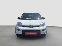 Usado Fiat Panda 71 CV (52 kW) 2023 Blanco Utilitario