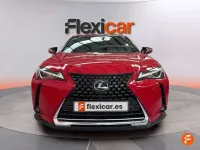 Usado Lexus UX 250h Business Edition 184 CV (135 kW) 2019 Gris SUV