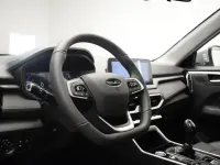 Nuevo EVO Evo 4 2025 Gris SUV