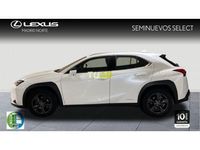 usado Lexus UX 2.0 250h Business