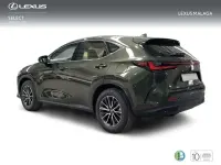 Nuevo Lexus NX350h 242 CV (177 kW) 2026 Verde SUV