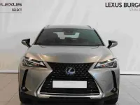 Usado Lexus UX 250h Business Edition 184 CV (135 kW) 2022 Gris SUV