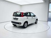 Usado Fiat Panda City Life 70 CV (51 kW) 2022 Blanco Utilitario