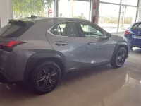 Usado Lexus UX 250h Business Edition 2019 SUV
