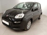 Usado Fiat Panda 70 HP (51 kW) 2024 Preto Citadino