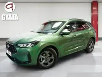 Usado Ford Kuga ST-Line 243 CV (178 kW) 2025 Verde SUV