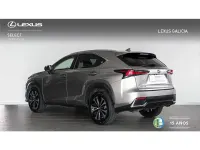 Usado Lexus NX300h 197 CV (144 kW) 2021 Gris SUV