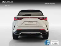 Usado Lexus NX300h Sport Line 306 CV (225 kW) 2022 Blanco SUV