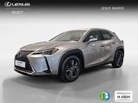 Usado Lexus UX 250h Business Edition 184 CV (135 kW) 2019 Plateado SUV