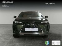 Usado Lexus UX 2024 SUV