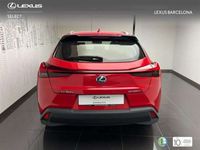 usado Lexus UX 250h Business 2WD