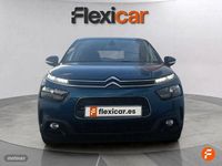 Usado Citroën C4 Cactus Shine 102 CV (75 kW) 2019 Azul Utilitario