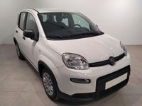 usado Fiat Panda 1.0 Gse City Live Hybrid