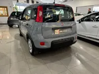 Usado Fiat Panda City Life 70 CV (51 kW) 2023 Gris / plata Utilitario