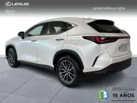 Usado Lexus NX350h 242 CV (177 kW) 2025 Blanco SUV
