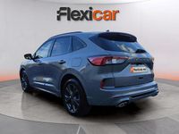 Usado Ford Kuga ST-Line 150 CV (110 kW) 2022 Gris SUV