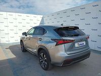 Usado Lexus NX300h Sport Line 197 CV (144 kW) 2020 Gris SUV