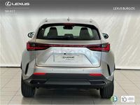 Usado Lexus NX450h+ 306 CV (225 kW) 2025 Gris / plata SUV