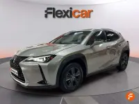 Usado Lexus UX 250h Business Edition 184 CV (135 kW) 2019 Gris SUV