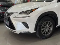 Usado Lexus NX300h Business Edition 197 CV (144 kW) 2020 Blanco SUV