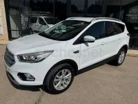Usado Ford Kuga Trend 120 CV (88 kW) 2019 Blanco SUV