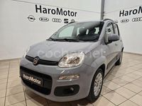 Usado Fiat Panda Lounge 69 CV (50 kW) 2019 Gris / plata Berlina