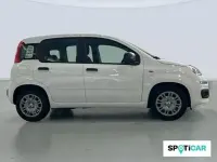 Nuevo Fiat Panda Icon 65 CV (47 kW) 2026 Blanco Utilitario