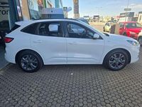 Usado Ford Kuga ST-Line X 120 CV (88 kW) 2022 Blanco SUV