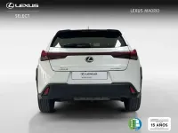 Usado Lexus UX 300h 199 CV (146 kW) 2025 Blanco SUV