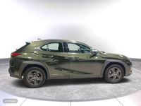 Usado Lexus UX Luxury Line 183 CV (134 kW) 2019 Verde SUV