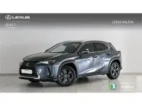 Usado Lexus UX 250h 184 CV (135 kW) 2024 Gris SUV