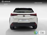 Usado Lexus UX 199 CV (146 kW) 2025 Blanco SUV