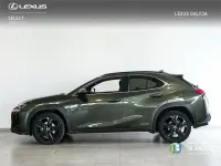Usado Lexus UX 184 CV (135 kW) 2022 Verde SUV