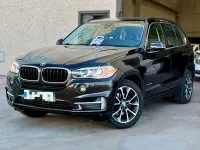 Usado BMW X5 218 CV (160 kW) 2014 Marrón SUV
